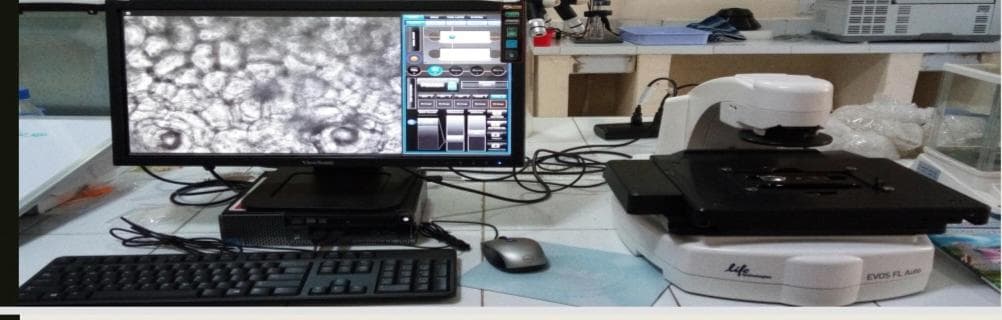 Fluorescence microscope, EVOS FL Auto